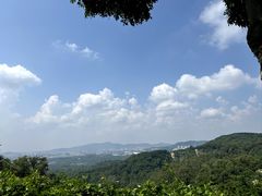 -火炉山森林公园