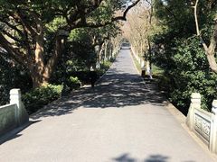 -苏堤停车场