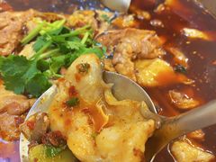 -冯鱼头火锅(青蓝山美食一条街店)