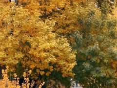 -元大都城垣遗址公园