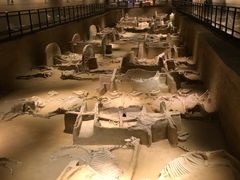 -洛阳周王城天子驾六博物馆