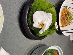 -沈灶河豚宴·河豚融合餐厅(汉中路店)