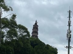 -顺峰山公园
