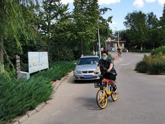 -绿堤公园