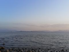 -红树湾(地铁站)