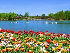 -北京国际鲜花港