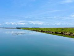 -大湾区中央湿地公园