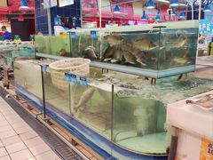 -世纪联华超市(浦电路店)