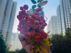 -松浦·观江国际