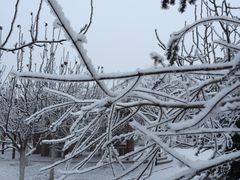 -南开大学滨海学院