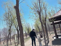 -杨柳青庄园