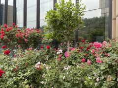 -济南喜来登酒店