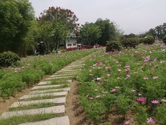 -厦门园林博览苑