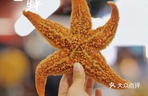 Sea Star Shellfish Platter