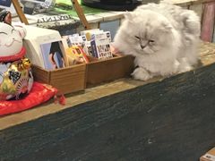 -小时光咖啡馆(开森度假森林店)