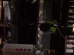 -格兰酒吧Glen Bar