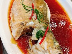 清蒸鲈鱼-北平小馆·烤鸭·家常菜(磨房北里店)