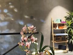 -施奈儿.洗头頭療.按摩SPA.采耳(上梅林店)