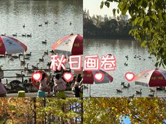 -艾溪湖湿地公园