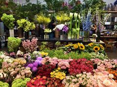 -双季花艺园艺市场(浦东店)