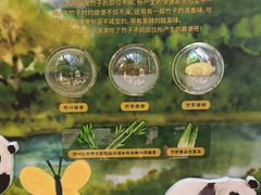-成都动物园
