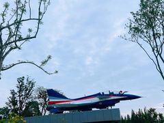 -成飞公园