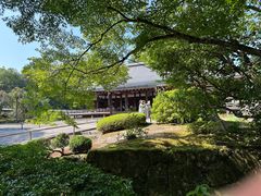 -西芳寺(苔寺)