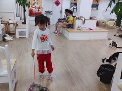 -李小姐の猫咖啡馆(五角场店)