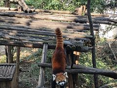 -昆明动物园