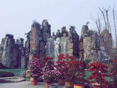 -秀丽东方