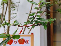 -本無咖啡·BeanWood Coffee