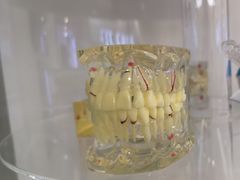 -维乐口腔(格林门诊长宁店)