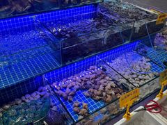 -大东海海鲜酒楼(渔人码头总店)