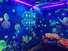 -成都浩海立方海洋公园