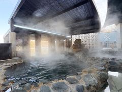 -春晖园度假酒店温泉