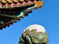 -颐和园