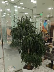 -时尚殿堂hair salon（上地华联店）