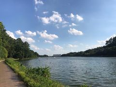 -南国桃园旅游度假区