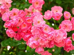 -广富林郊野公园