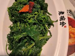 山野灰灰菜-老碗会·陕西手工面(中心书城店)