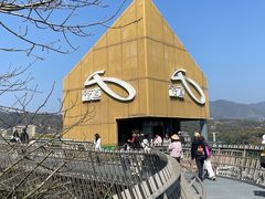 -福道