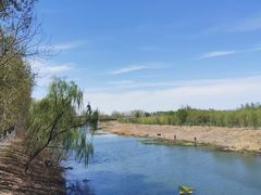 -东郊湿地公园