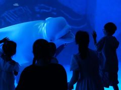 -长沙湘江欢乐雪域