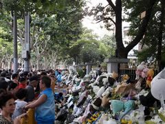 -上海市世外小学