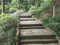 -重庆彩云湖湿地公园