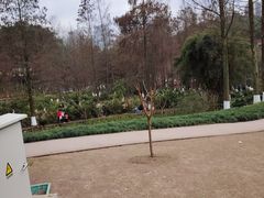 -重庆彩云湖湿地公园