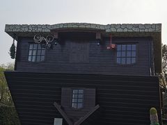 -金山农民画村-枫泾波兰倒置屋