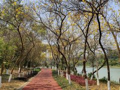 -广西壮族自治区药用植物园