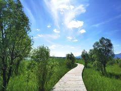 -野鸭湖国家湿地公园