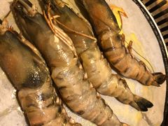 -熊出没日本烧肉放题